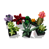 Succulents 10309 - New LEGO Botanicals Collection Set