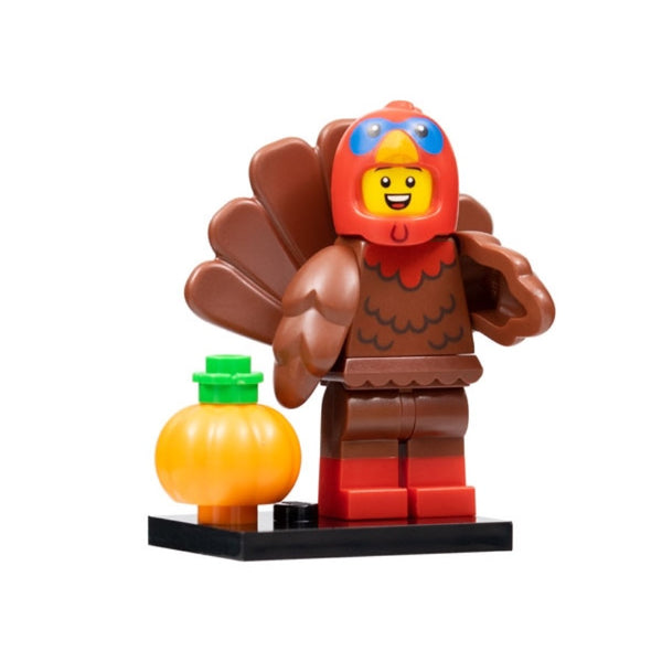 Series 23 - Turkey Costume