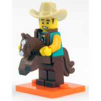 Series 18 - Cowboy Costume Guy